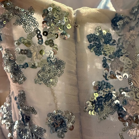 Pageant / Prom Gown by Rachel Allan size 6 - Picture 8 of 11